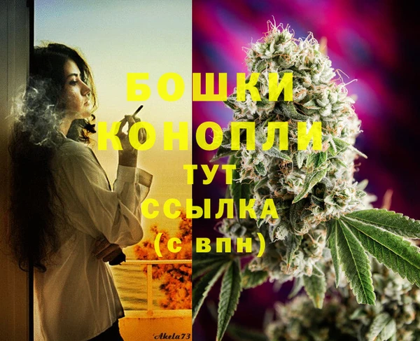 герыч Осинники