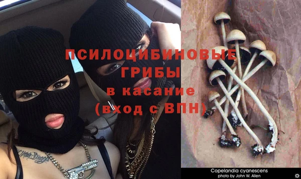 каннабис Сосновка