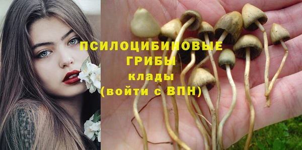 меф Осташков