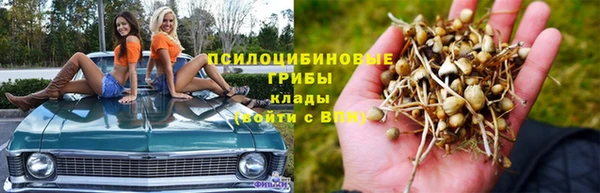меф Осташков