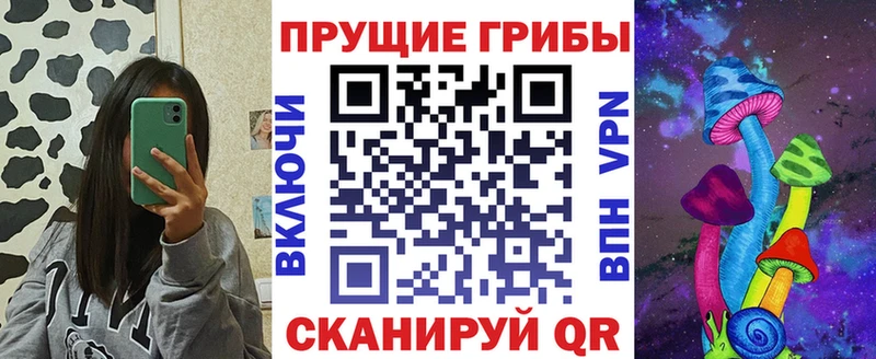 Псилоцибиновые грибы MAGIC MUSHROOMS  цены наркотик  Алдан 
