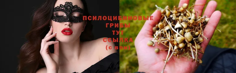 маркетплейс формула  хочу   Алдан  Псилоцибиновые грибы прущие грибы 